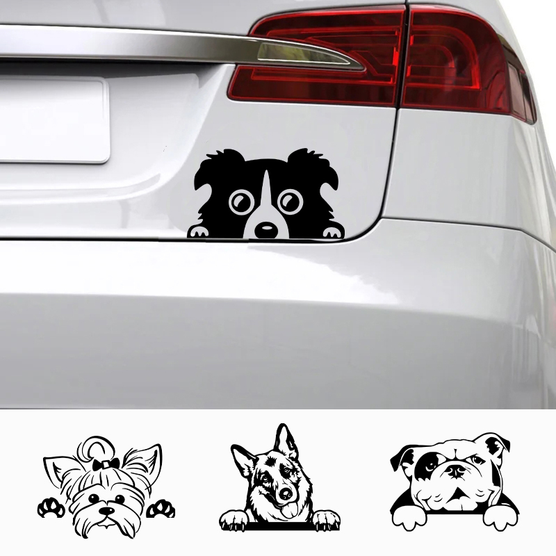 Laptop Accessories Macbook - Araba Aksesuar Çıkartmaları Komik Köpek Adı